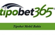 Tipobet Mobil Bahis